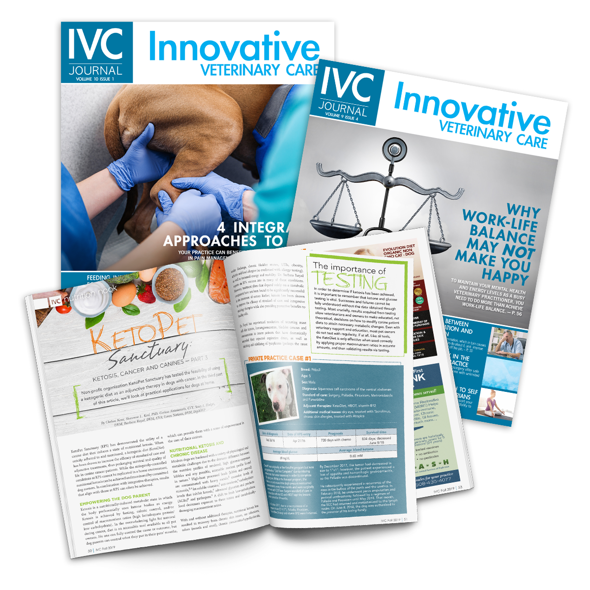 IVC Journal Magazine IVCVX Mission Spread