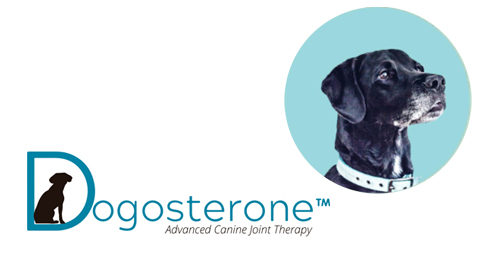 Save $500 on Dogosterone Therapy Certification